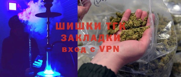 дурь Инсар