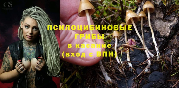mix Армянск
