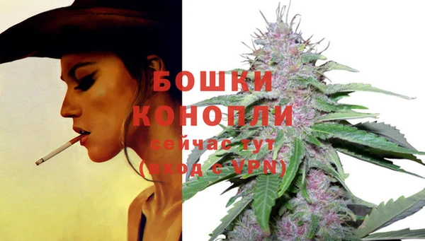 каннабис Аркадак