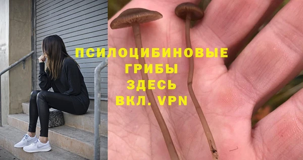 mix Армянск
