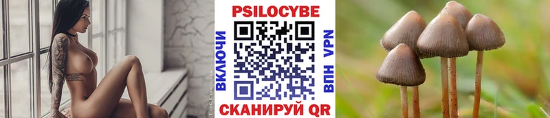 закладки  Озёры  Псилоцибиновые грибы мухоморы 